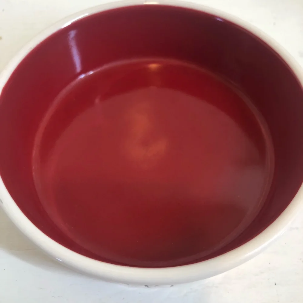 Rae Dunn DRINK By Magenta Dog /Cat Pet Bowl Small Artisan Collection